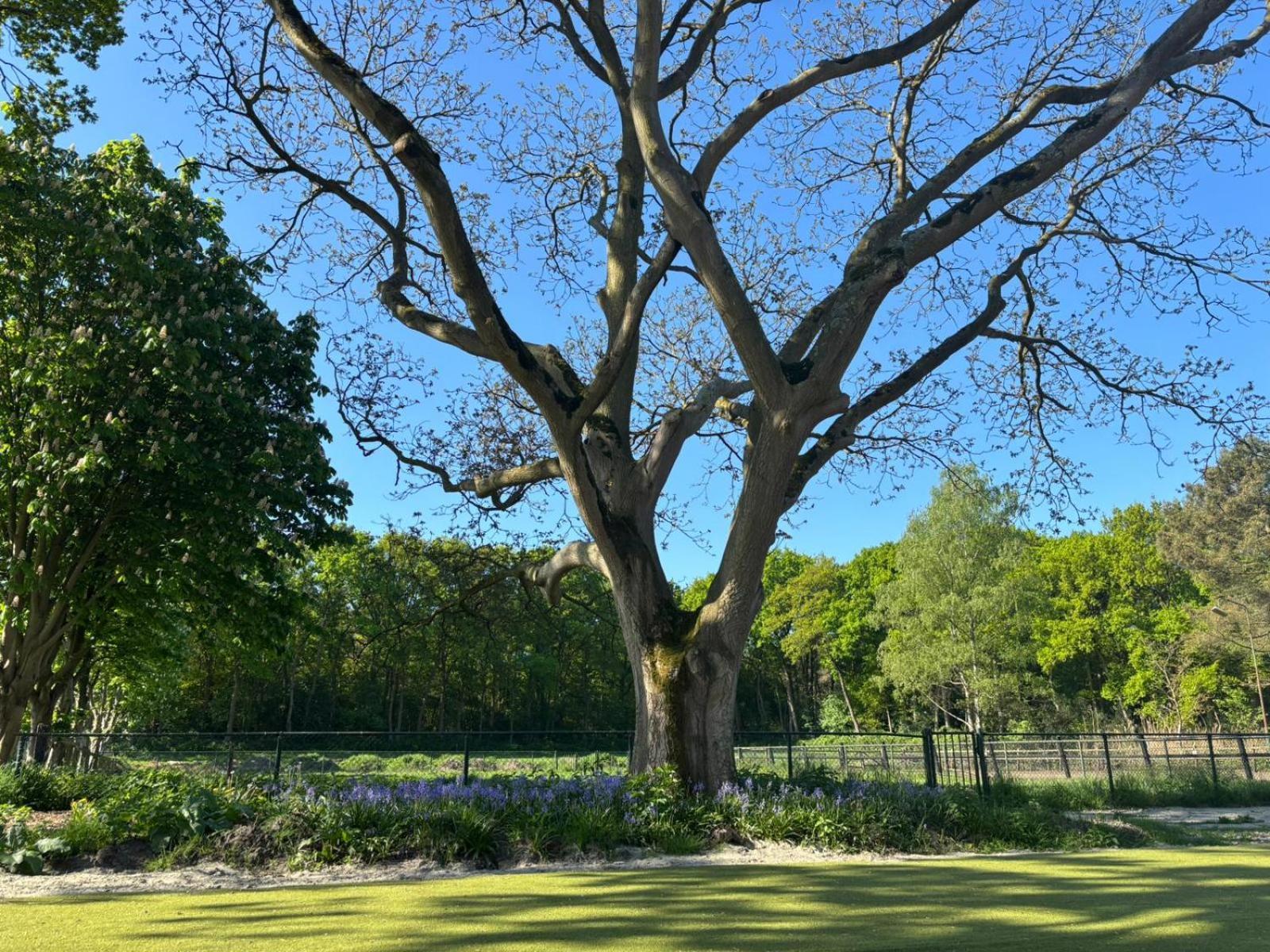 Huijbergen ภายนอก รูปภาพ