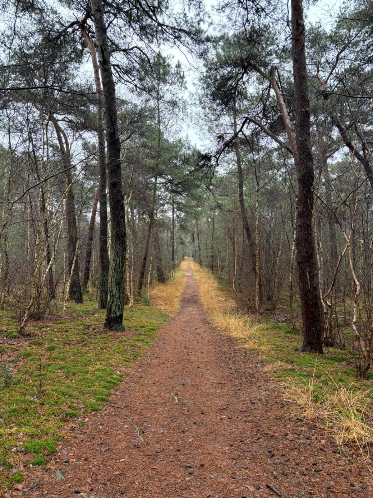Huijbergen ภายนอก รูปภาพ